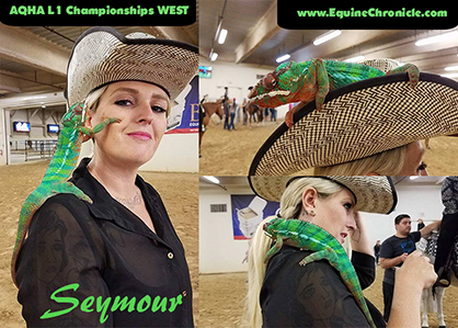 EC Photo of the Day: Most Unusual Horse Show Pet EVER