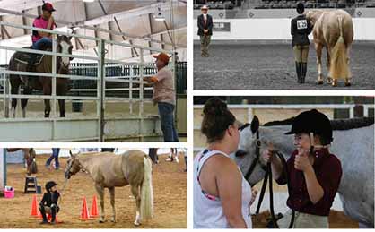 Day 5-7 Photos- 2017 Pinto World Show