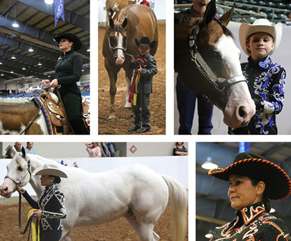 Day 9 Photos- 2017 Pinto World Show