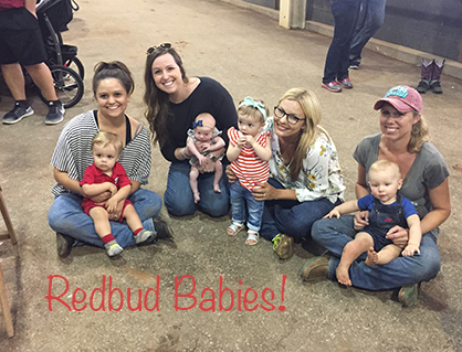 EC Photo of the Day- Redbud Babies!