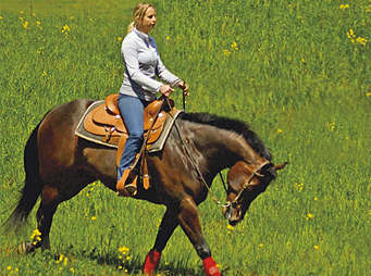 Trail Hacks – Riding Your Show Horse Off the Beaten Path