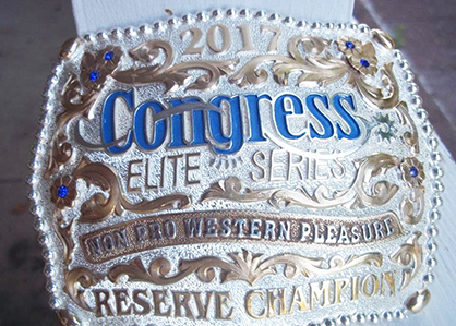 Elite Series Returns to 2017 Paint Horse Congress