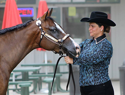 Around the Ring Photos- 2017 GQHA July Novice Show