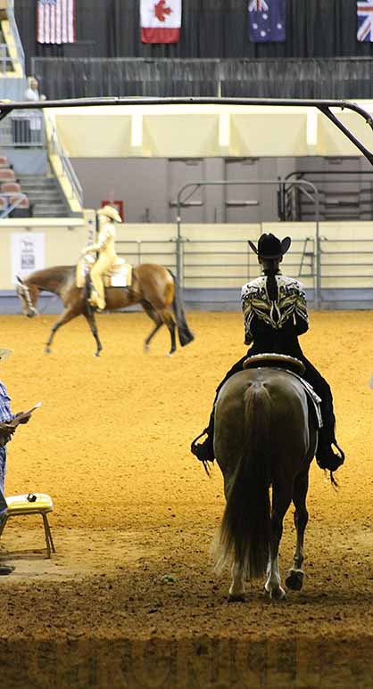Top 5 Tips For Dealing With Horse Show Jitters