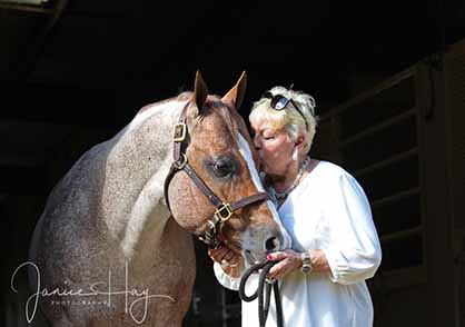 Sincere Condolences Following the Passing of AQHA Stallion, The Rock (2011-2017)