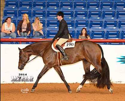 Heather Runyon- Appaloosa Trainer of the Year