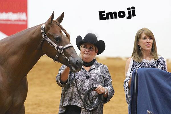 EC Photo of the Day- Instagram and Emoji Horses