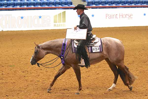 Two Siblings, Born Amidst Tragedy, Compete At APHA World In Memory of Their Late Dam