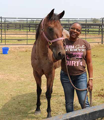 200 Animals Already Reconnected With Owners After Hurricane Harvey
