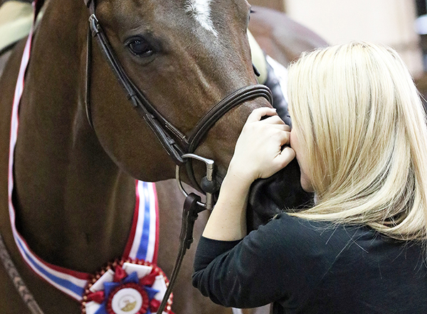 How to Bond With Your Horse When It’s at a Trainer’s 24/7- Part 1
