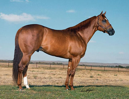 AQHA Leading Sire Has Passed