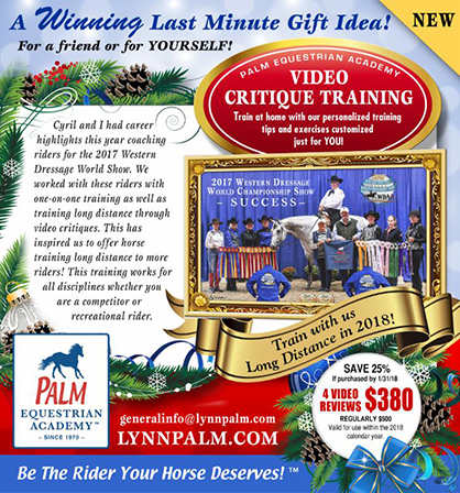 Last Minute Gift Idea- Video Critique Horse Training