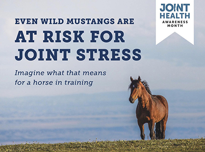 One Equine Company’s Mission to Give Back