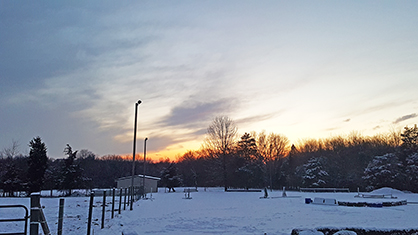 Joys of Winter, Farm Style