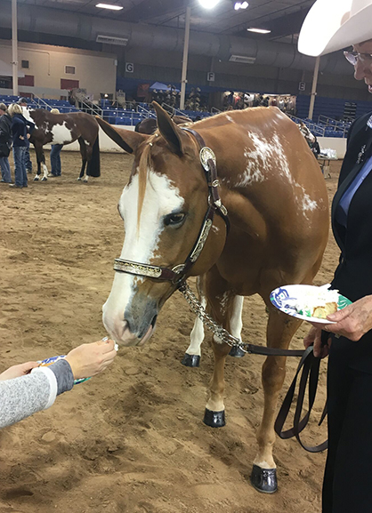 EC Photo of the Day- Happy Birthday to Horses Everywhere!