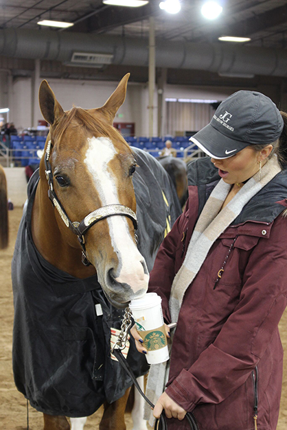 EC Photo of the Day: Chestnut Macchiato Anyone?