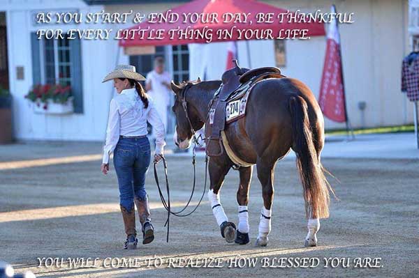 Ever Wondered What’s On a Horse Trainer’s Mind?