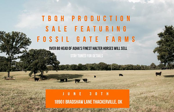 Terry Bradshaw QH and Fossil Gate Farms Team Up For Production Sale of the Century