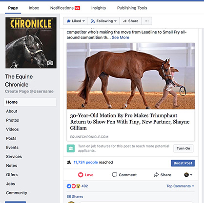 How to Make SURE The Equine Chronicle Shows Up on Your Facebook Feed