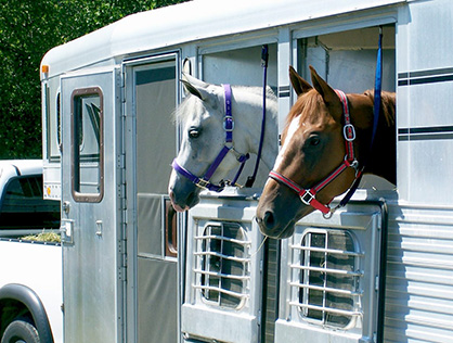 American Horse Council Meets With Department of Transport to Discuss Concerns About ELD Mandate