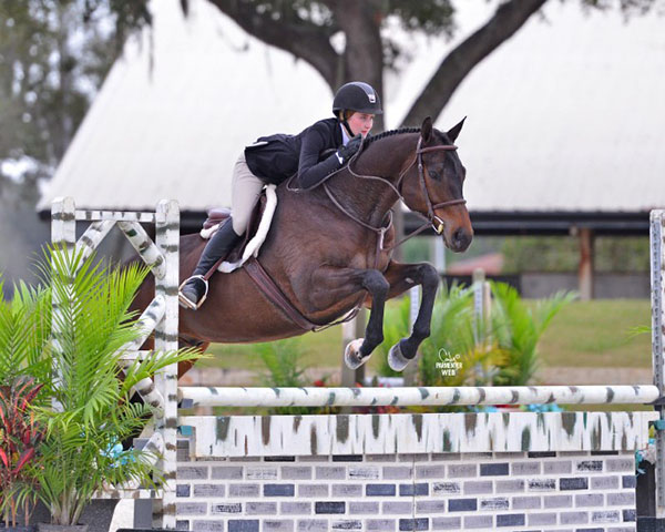 Achieving the Unimaginable, While Keeping Everything in Perspective- 4 High Point Titles For 1 Horse- Classic Circle