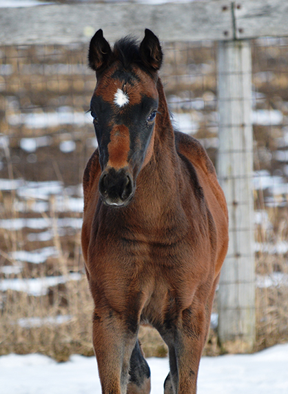 EC Photo of the Day- Shedding Time!