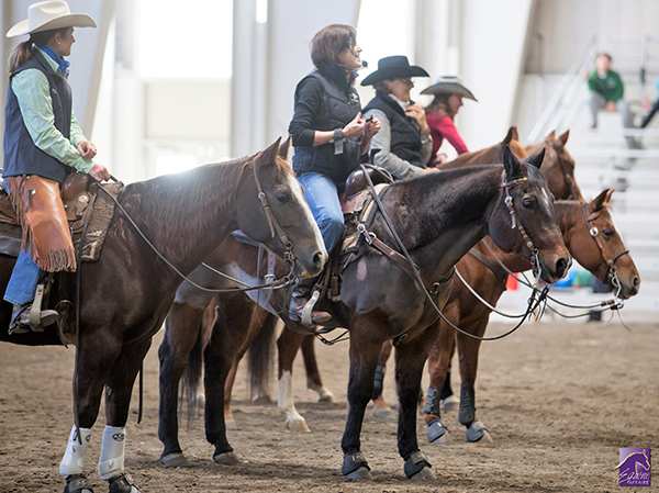 Host of Trainers to Lend Their Expertise at Upcoming Equine Affaire