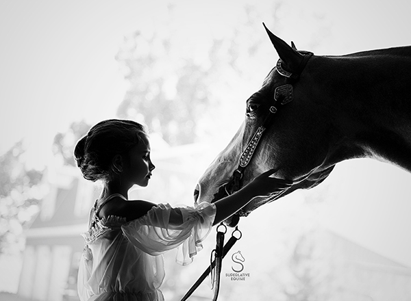 Creating a Connection: How Artful Videos are Changing the Marketing Landscape of the Horse Industry