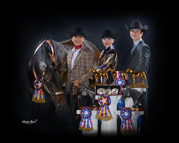 Betta Believe It Helps Three Family Members Win Gold Trophies at AQHA L1 Championship Central