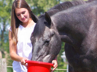 Feeding Horses to Help Prevent or Treat Ulcers