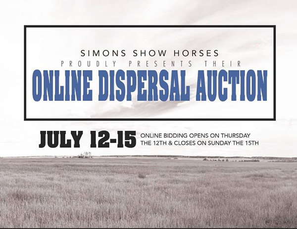 Simons Show Horses Comments on Closing Breeding Portion of Business With Complete Dispersal