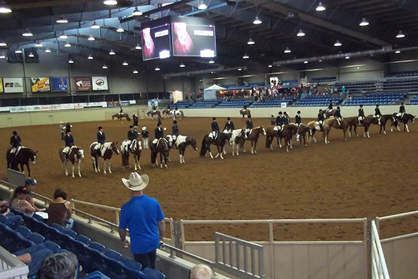 Paint Horse Congress Adds 6 Color Breed Classes With $1,000 Added!