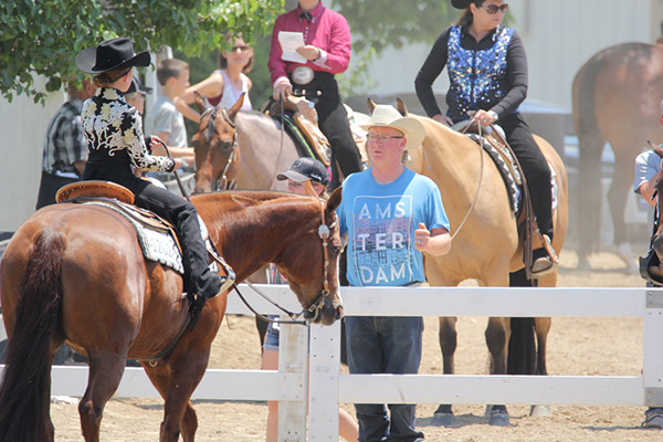 Have You Thanked Your Horse Trainer Lately?