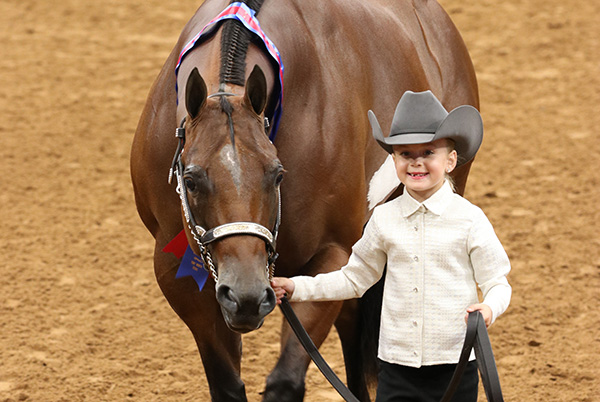 APHA Youth World Halter Winners Are Figueroa, Long, Chapman, Larman, Wright, and More!