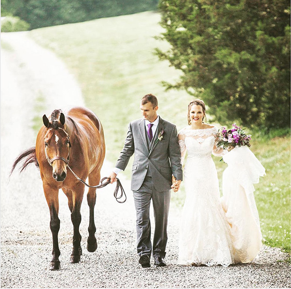 EC Photo of the Day- A Horse Ringbearer