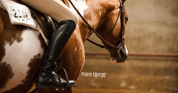 Developing Mental Toughness as a NCEA Equestrienne-With Cameron Crenwelge