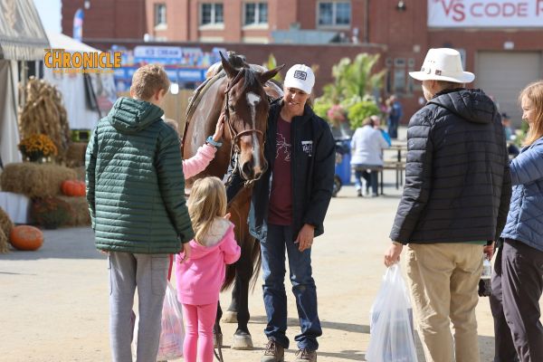 Equestrian Positivity- Breaking Down Stereotypes in the Horse Industry