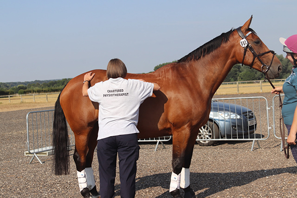 Vets Test New Method For Equine Performance Assessment