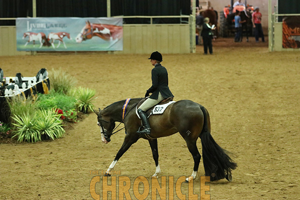 EC Video- 2018 NSBA World- Green Color Hunter Under Saddle