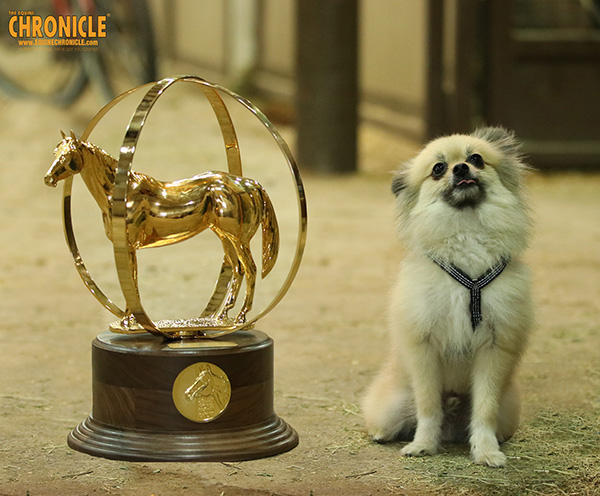 EC Photo of the Day- When Your Trophy is Bigger Than Your Dog…