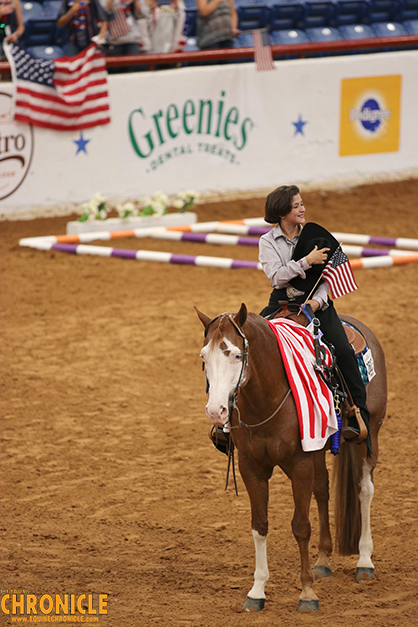 Research to Focus on Horse and Human Bond with Veterans