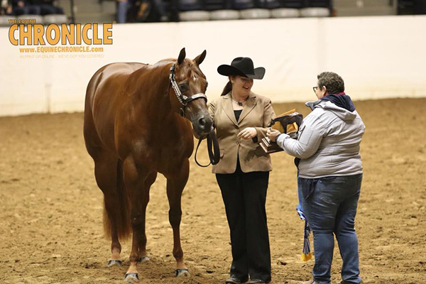 EC TV- 2018 QH Congress- Amateur Grand Champion Mare