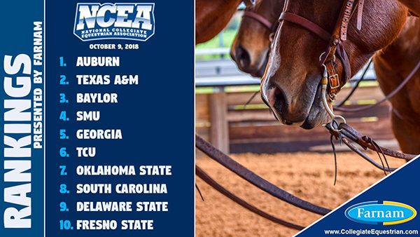 Auburn Equestrian Remains at Top of Latest NCEA Rankings