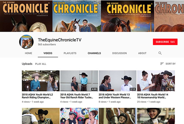 Did You Know Equine Chronicle Has a YouTube Channel?