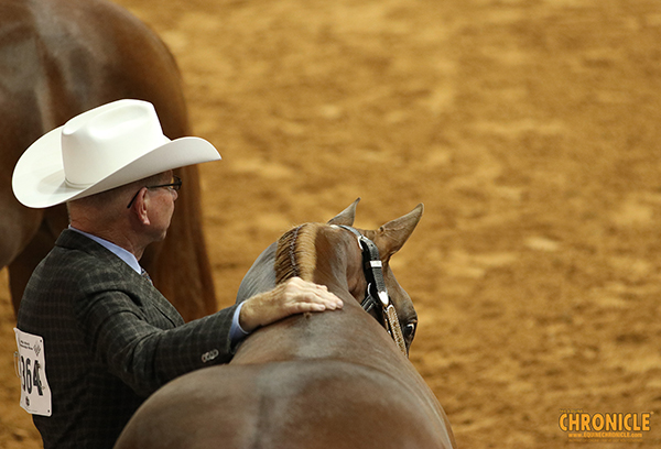 EC Photo of the Day- Keeping One Eye On the Competition