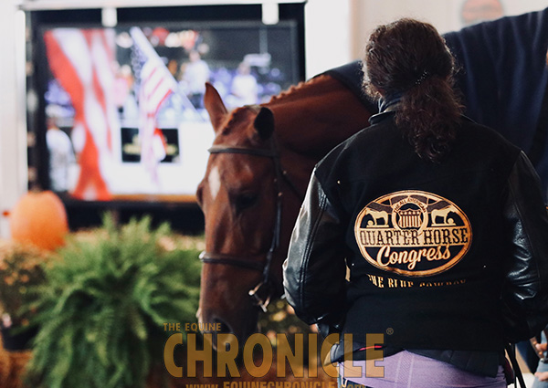 A Day in the Life at QH Congress with EquineChronicle.com