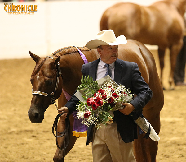 10/14 QH Congress Champions Include Turner, DeBoer, Crothers, Arentsen, Roark, and More