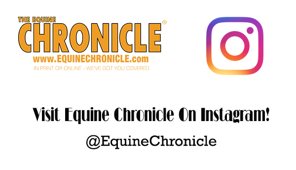 The Equine Chronicle is on Instagram!