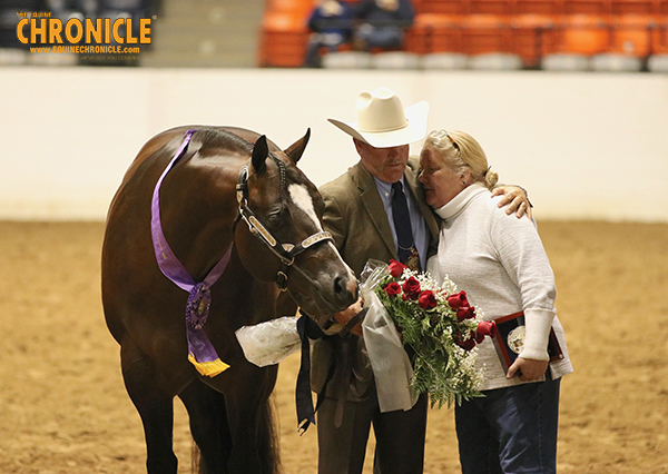 Stratton, Davis, Robertson, Roark, Pait and More Named Congress Champions in Stallion Classes