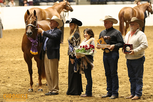 EC Video- Open Grand Champion Mare- Alluring Intention/Ross Roark